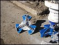any rotarg drum cutter plates